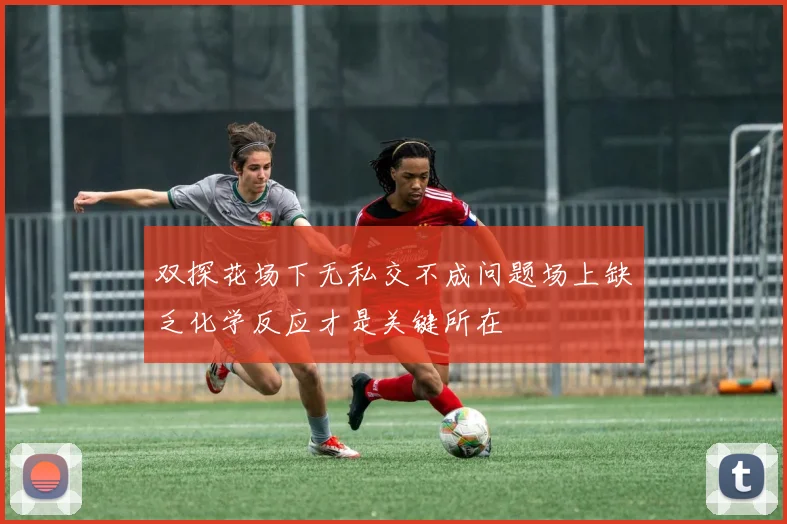 双探花场下无私交不成问题场上缺乏化学反应才是关键所在